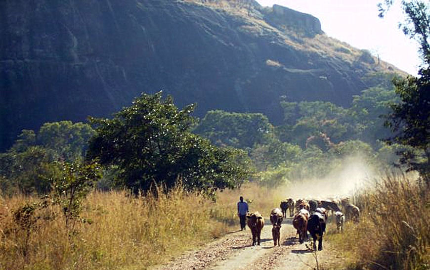 Karoi: A Vibrant Town Nestled in the Heart of Zimbabwe