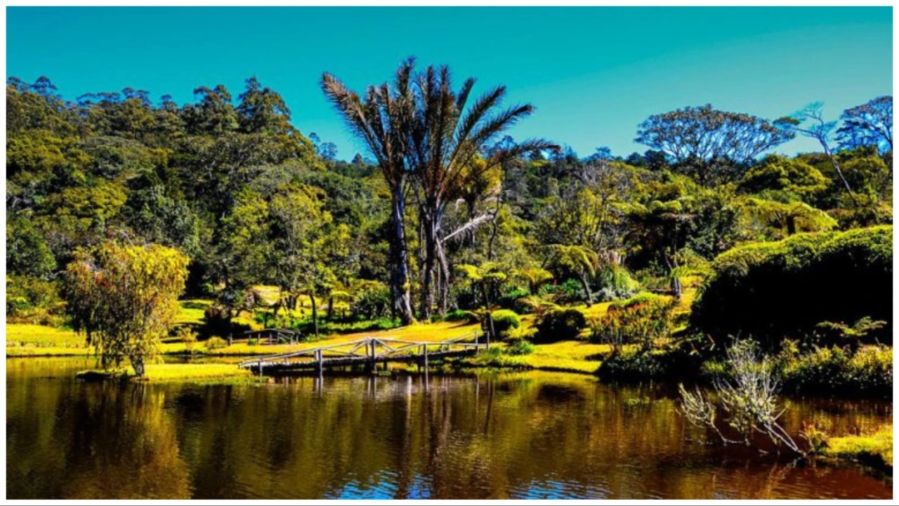 Bvumba Botanical Gardens in Zimbabwe