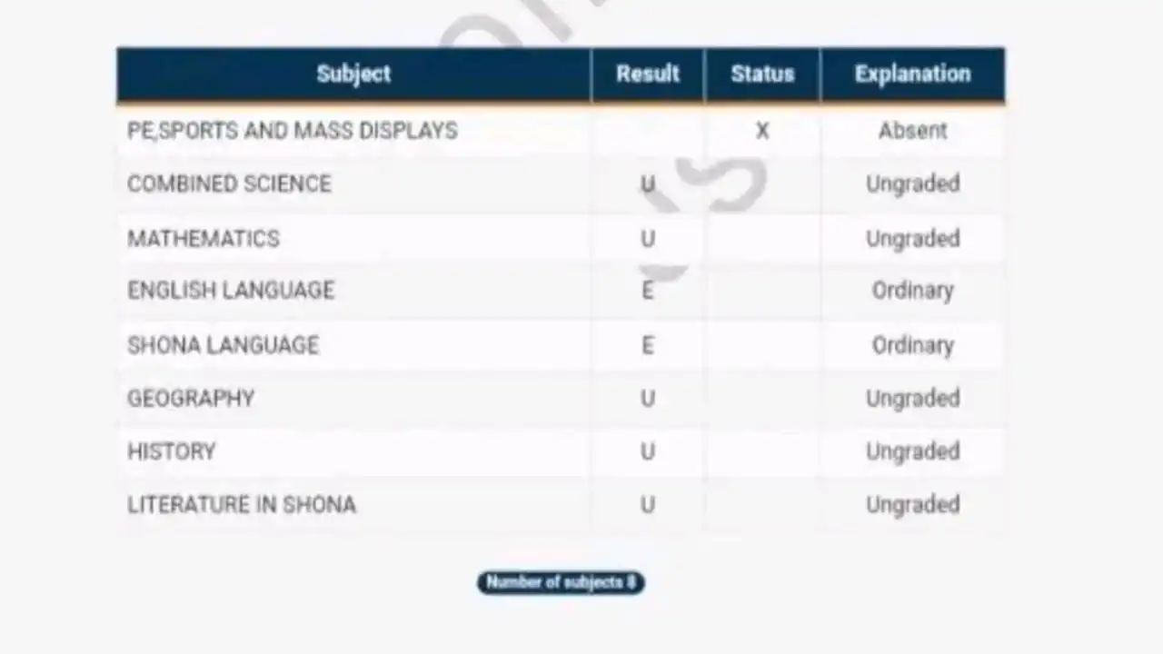 How to Check 2024 ZIMSEC O-Level Results Online: A Complete Guide